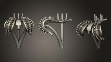 Jewelry rings Aneis sergi levaya 3d model