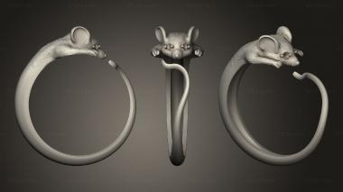 Jewelry rings Ring mysh 3d model
