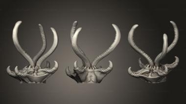 Jewelry rings Larvae Alpha 3d model