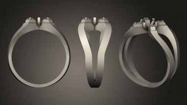 Jewelry rings Aneis pomolvochnoe Ring 3d model