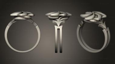 Jewelry rings The Rings Power Nenya 3d model