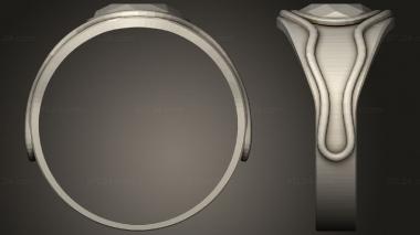 Jewelry rings The Rings Power Vilya 3d model