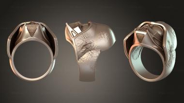 Jewelry rings JVLRP_1169 3d model