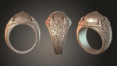 Jewelry rings JVLRP_1173 3d model