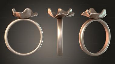 Jewelry rings JVLRP_1179 3d model