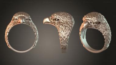 Jewelry rings JVLRP_1207 3d model