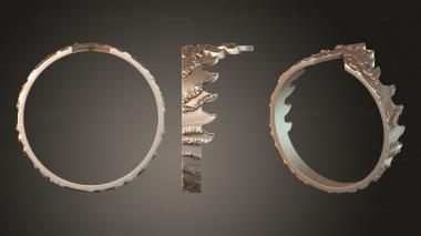 Jewelry rings JVLRP_1209 3d model