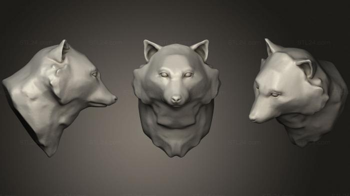 Тануки 95