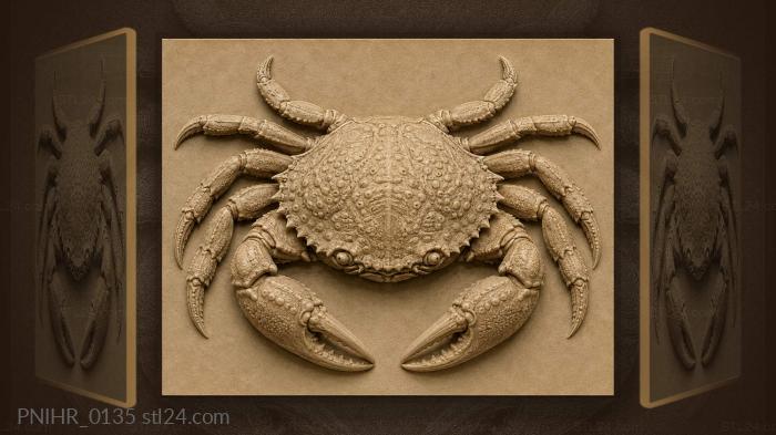 Морской краб забавный рачок