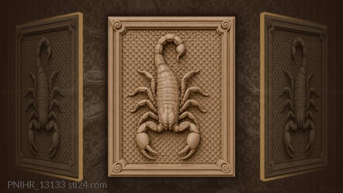 Мелкие точки рассыпаны вокруг скорпиона