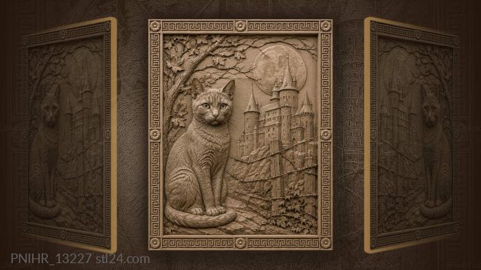 Кот у старинного замка ночью