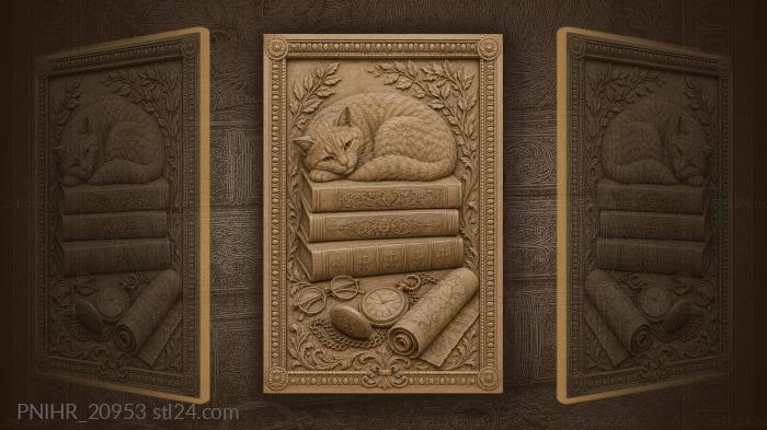 Кот спит на старинных книгах