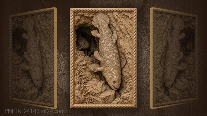 Латимерия висит головой вниз у скалы