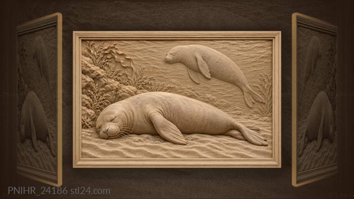 Моржики спят на морском дне