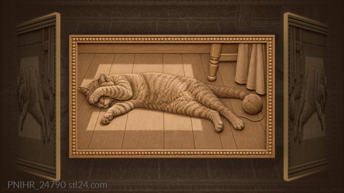 Ленивый котик в солнечных лучах