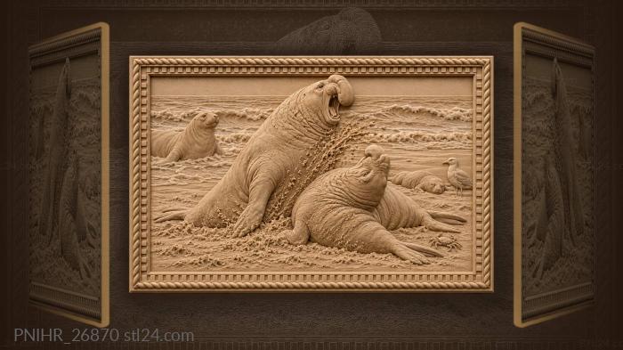 Морские слоны дерутся у берега