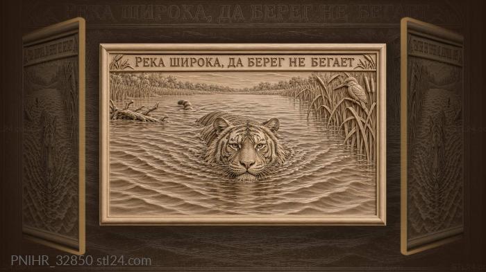 Могучий тигр в широкой реке
