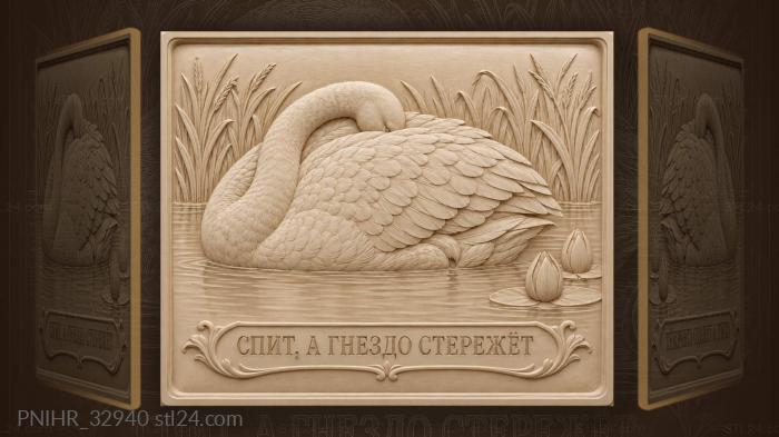 Лебедь у тихого берега