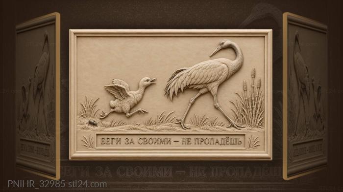 Журавль оглядывается на журавленка