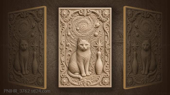 Кот среди планет и звёздных вихрей