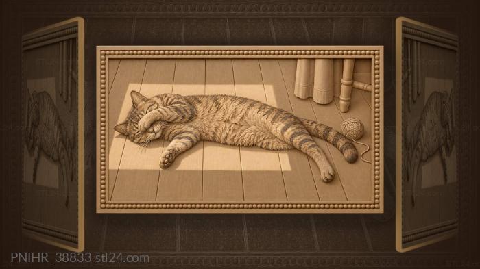 Кошка нежится в лучах солнца