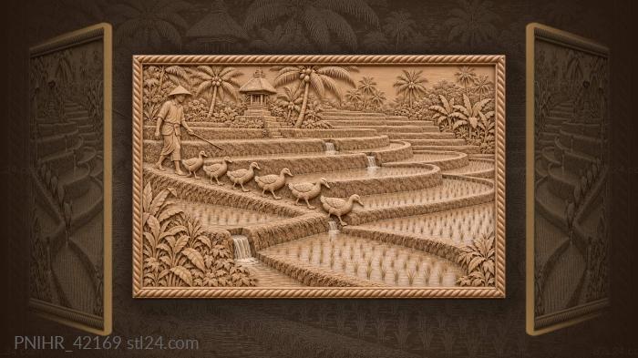 Балийские рисовые поля с уточками