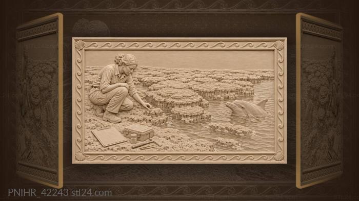 Древние рифы дельфин ученый прилив