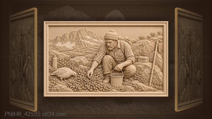Куропатка клюет рядом с работающим сборщиком