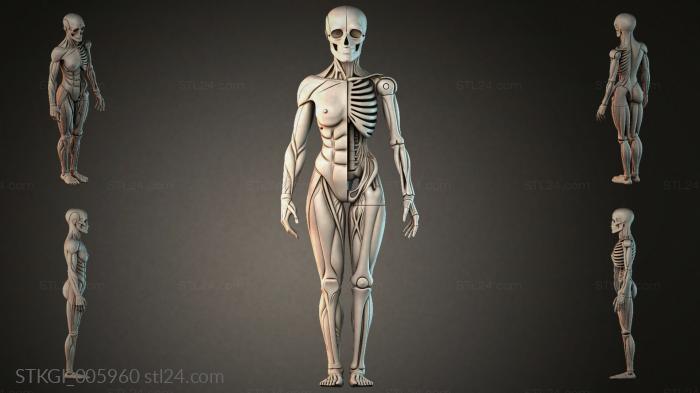 STKGI_005960