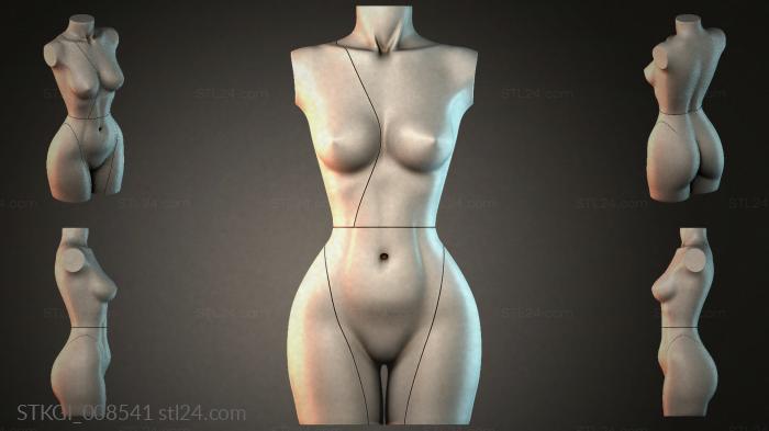 STKGI_008541
