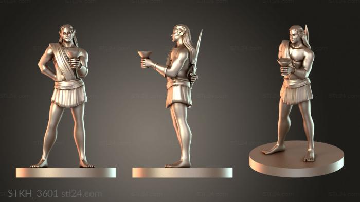 Figurines of people (Drow Favored Consort, STKH_3601) 3D models for cnc