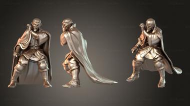 Figurines of people Royal Court Advisor 3d model