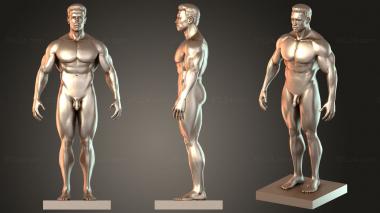 Figurines of people T. Arnold 3d model