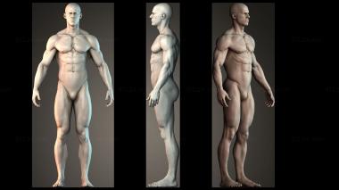Figurines of people Muscular man 3d model