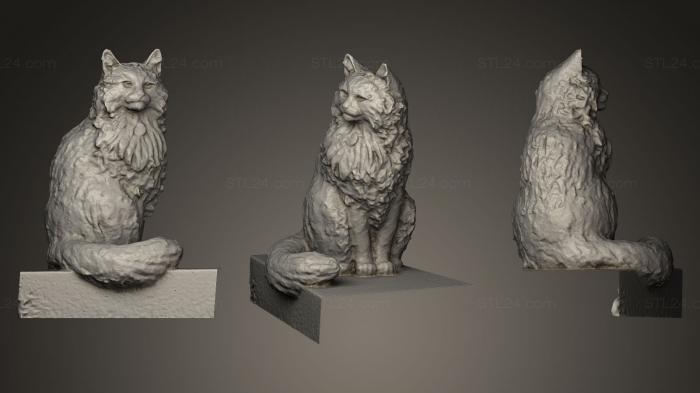 Кошка
