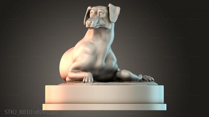 STKJ_8810