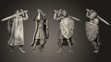 Military figurines Dragonborn Paladin Tanshanae 3d model