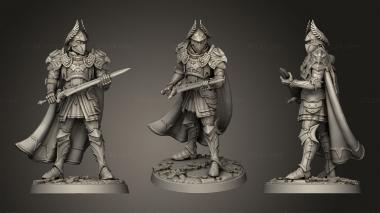 Military figurines King in full Armor 3d model