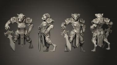 Military figurines Tabaxi 09 Paladin Female 3d model
