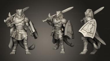 Military figurines Lion Tabaxi Paladin Miniature 3d model