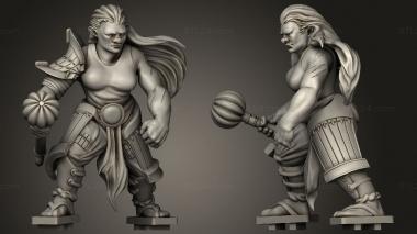 Military figurines Allarian Guild 3d model