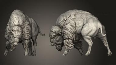 Military figurines Animal American Bison fight 3d model