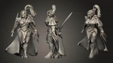 Military figurines Telarienne Velaris Steel Watch Elf Paladin female Claw Fighter 3d model