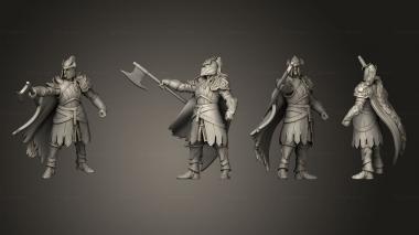 Military figurines Dwarf Lion Clan C 3d model