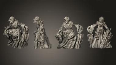 Military figurines Ice Witch Crone Unbased 3d model