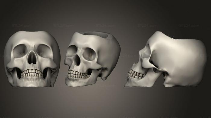 Вазы (Мате калавера 3, VZ_0692) 3D модель для ЧПУ станка