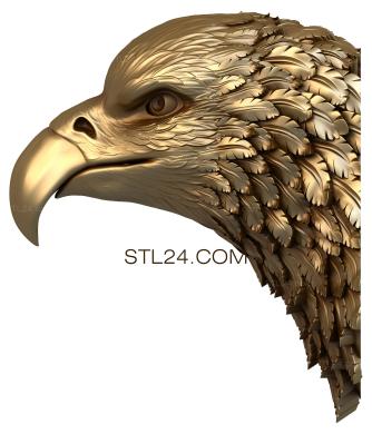 Animals (Eagle's head, JV_0016) 3D models for cnc