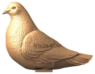 Животные (Сидящий голубь, JV_0021) 3D модель для ЧПУ станка