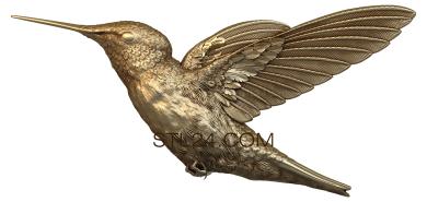Летящая колибри
