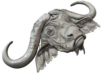 Animals (Buffalo head, JV_0111) 3D models for cnc